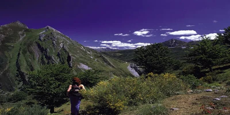 Paisajes y atracciones de Aller, Asturias